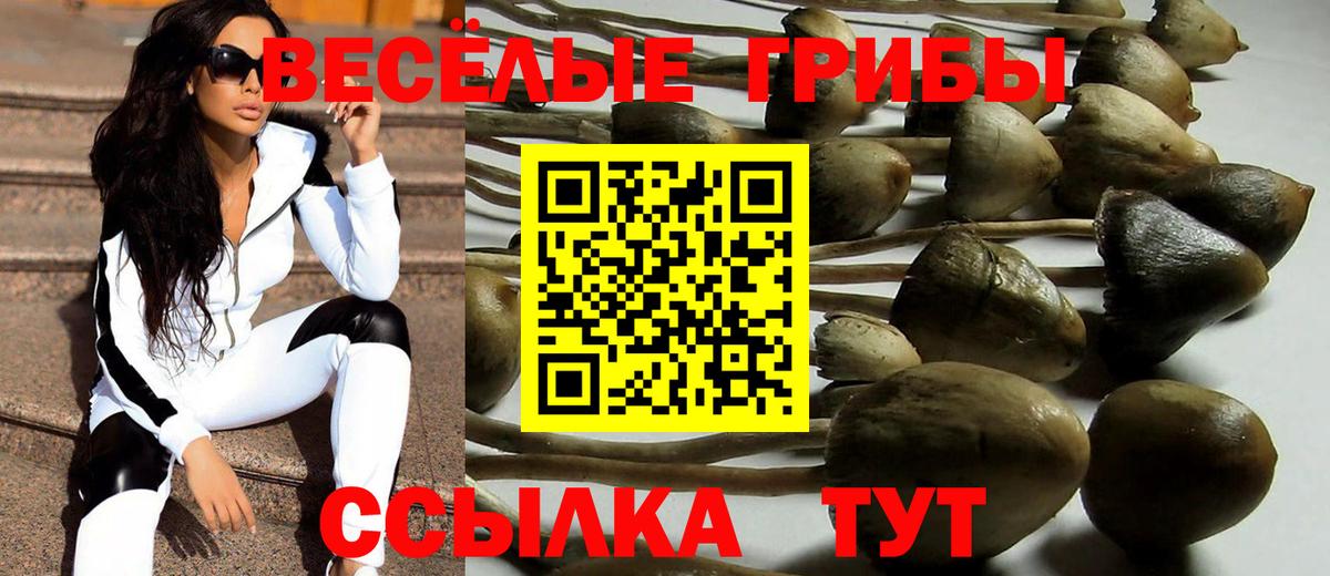 Нижнеудинск  Псилоцибиновые грибы MAGIC MUSHROOMS  Вход с VPN 